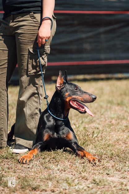 Hybrid Leash