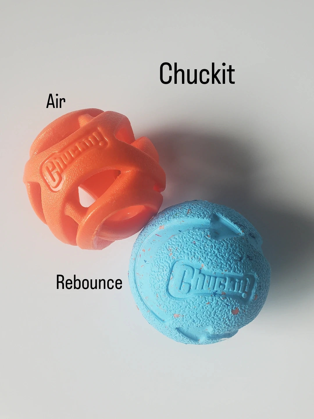 Chuckit sales rebounce ball