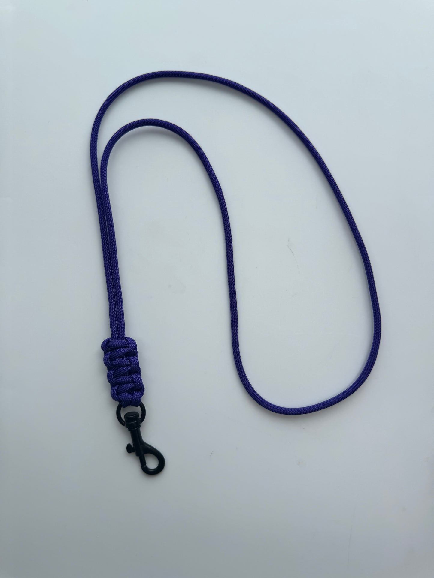 Lanyard