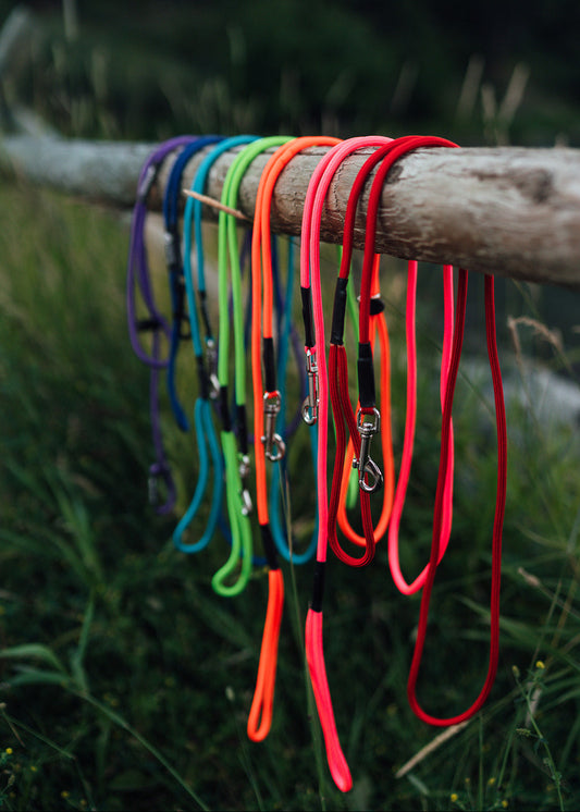 Build a Leash