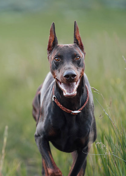 Adjustable Slip Collar